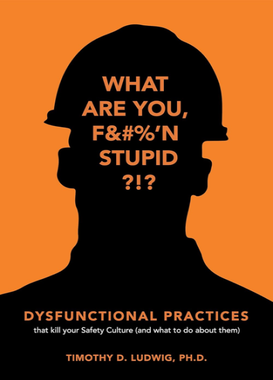 Dysfunctional Practices: that kill your Safety Culture (and what to do about them)