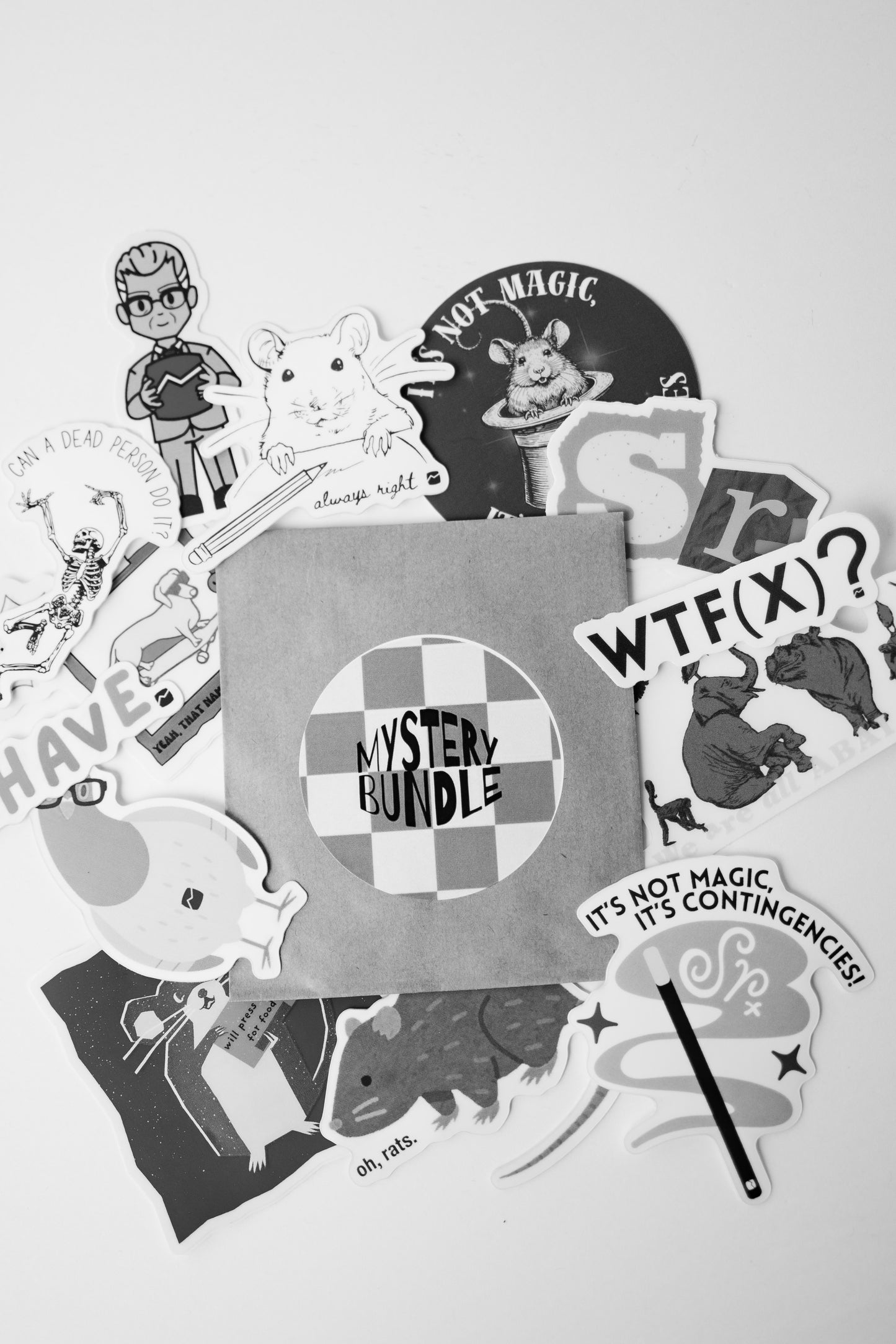 Mystery Sticker Bundle (5 Stickers)